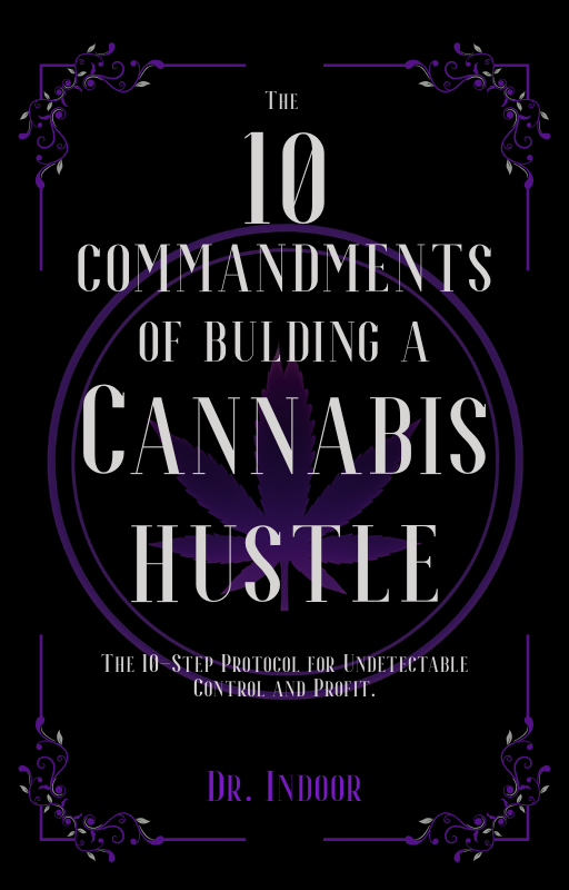 The 10 Commandments of Building a Cannabis Hustle